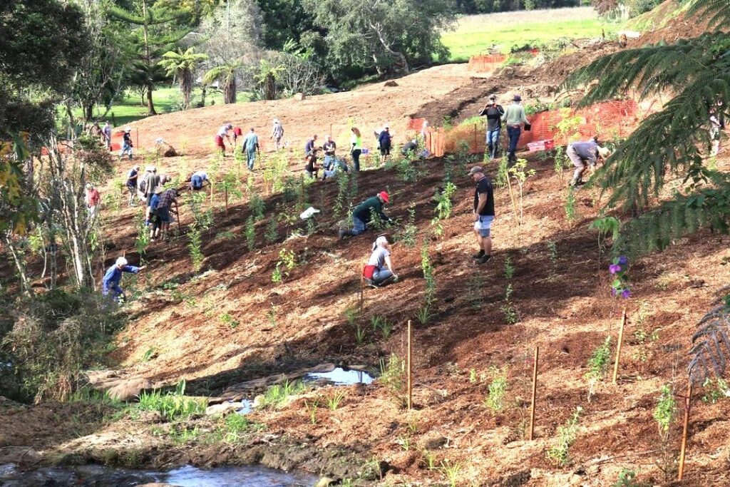 Te Tahawai planting day 2022 2
